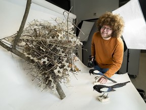 Auke-Florian Hiemstra with a nest. (Alexander Schippers/Naturalis)