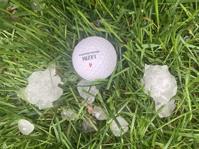 Golf-ball sized hail hit parts of Ottawa on Friday, July 28, 2023.
