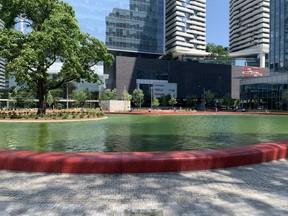 The water in the pond at Love Park has turned algae green.