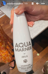 Zeus was featured on water for Mitch Marner wedding guests.