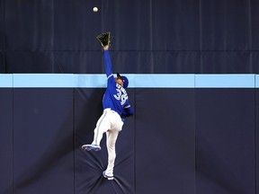 Kevin Kiermaier of the Toronto Blue Jays catches a ball at the wall earlier this season.