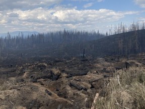 The area around the Bush Creek East blaze, northeast of Kamloops on the west side of Adams Lake, is shown in a handout photo.