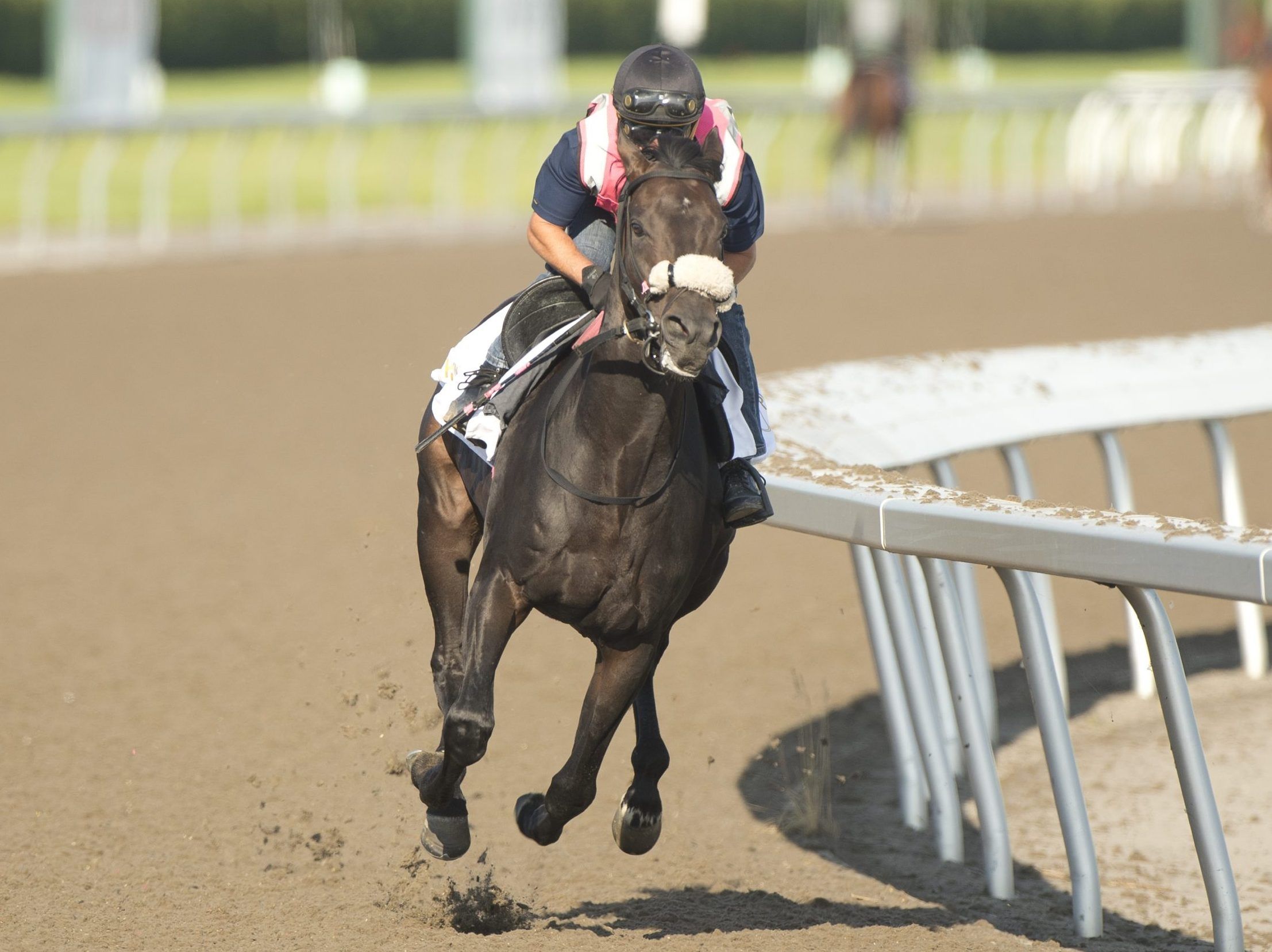 First King’s Plate in 70 years brings plenty of buzz to Woodbine