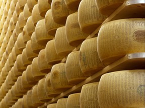 Wheels of cheese on the racks of a maturing storehouse