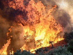 flames burning vegetation during a wildfire near Prodromos