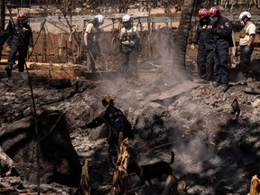 Search and recovery team members check charred buildings