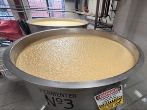 Fermentation vats