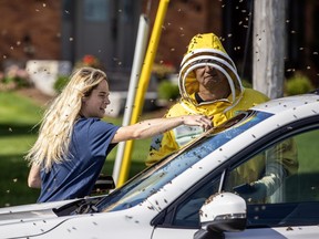 Beekeepers Terri Faloney (L) and Tyler Troute (R) remove bees from a car after a truck carrying bees swerved on Guelph Line causing the hives to fall off and releasing millions of bees in Burlington on Wednesday, Aug. 30, 2023.