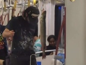 There was something fishy going on on a TTC train recently.