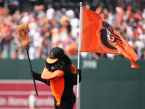 The Baltimore Orioles mascot celebrates