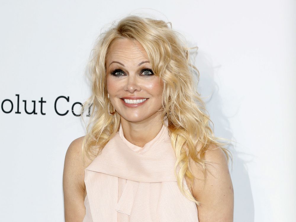 Pamela Anderson teases her 'sexy and traumatic' novel | Toronto Sun