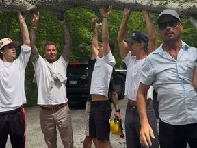 David Beckham and actor Austin Butler help lift a fallen tree in Muskoka.