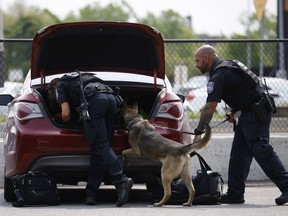 U.S. Customs and Border Protection officers search vehicles with the help of a canine at the Peace Bridge Port of Entry in Buffalo, N.Y. on Tuesday, May 23, 2023. Earlier this year, U.S. border agents used helicopters and a fixed-wing airplane to round up 124 people along the Canada-U.S. border.