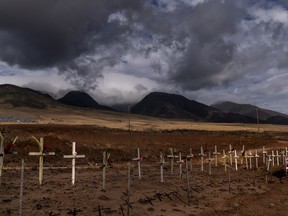 Crosses honoring victims killed in a recent wildfire are posted along the Lahaina Bypass in Lahaina, Hawaii, Aug. 21, 2023.