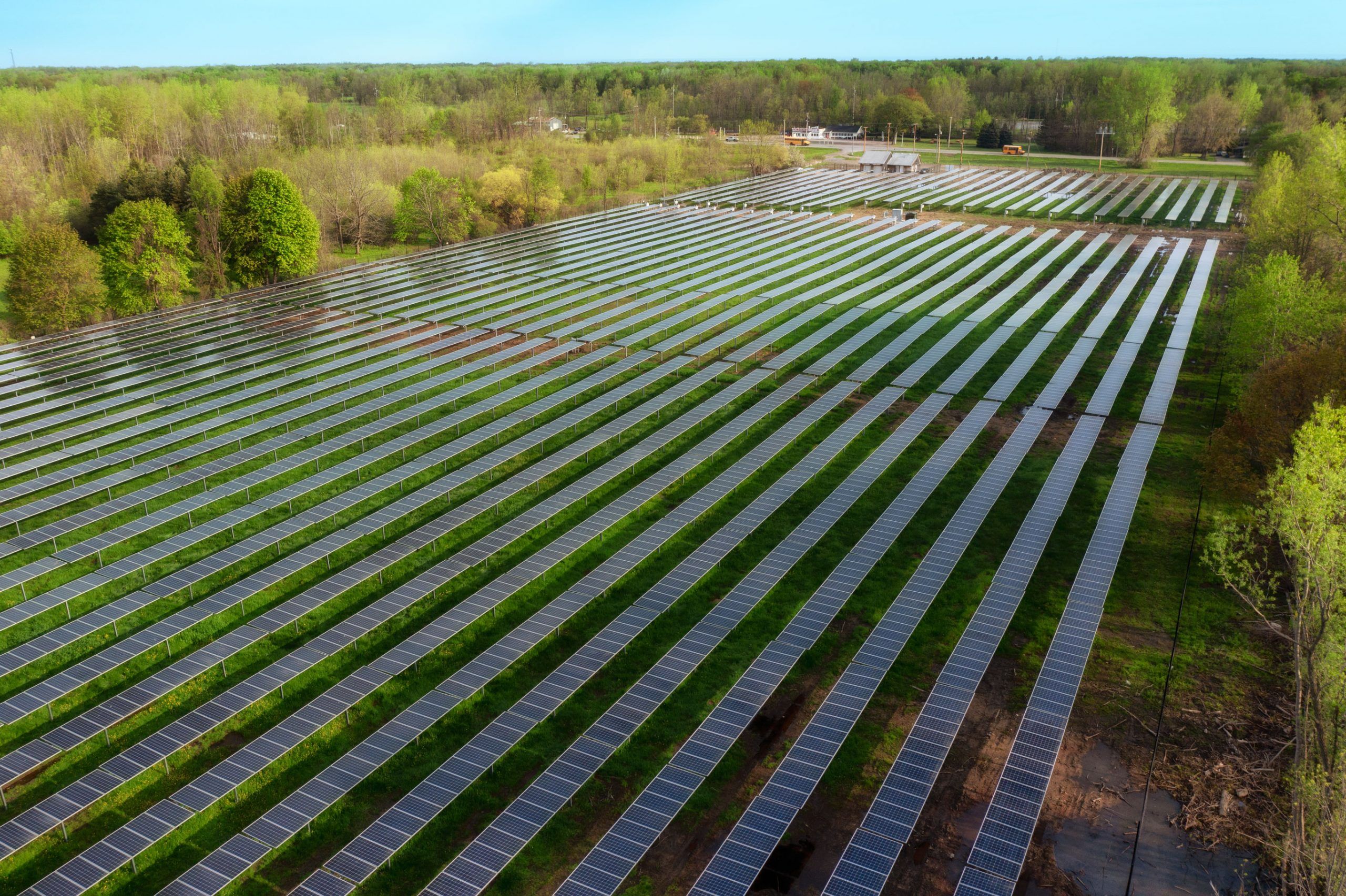 The Local Company Putting Toronto In The Solar Spotlight 