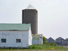 Homes back in a farmer's field in Binbrook, near Hamilton, Ontario, an area in the Ontario Greenbelt, Wednesday June 7, 2023.
