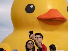 Couple taking selfie in front of giant rubber duck