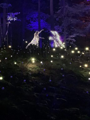 Foresta Lumina