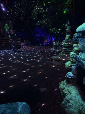 Foresta Lumina.