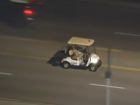 A man holding a dog while driving a golf cart in Los Angeles was eventually caught by police.