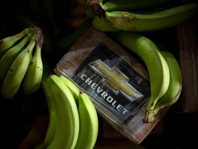 Cocaine hidden among bananas