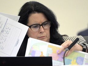 State Sen. Kelli Stargel looks through redistricting maps