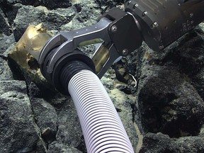 A golden egg was found by researchers off the southern coast of Alaska. Courtesy of NOAA Ocean Explorer