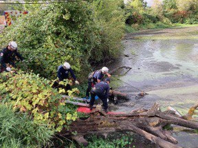Portland Fire and Rescue shared this image of crews rescuing a man charged with attempted murder who escaped from a psychiatric hospital in Oregon after he was found floundering in a muddy pond on Friday