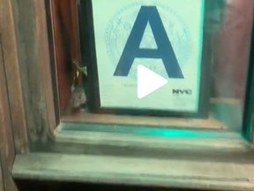 An image taken from a Tik Tok video posted by marleydog904 shows a rat at a New York theatre which received an "A" from that city's health department.