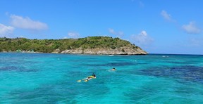 Snorkelling off Great Bird Island