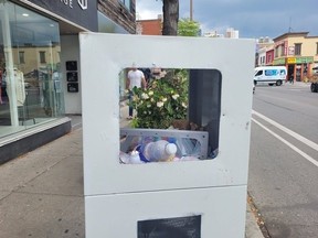 Automated Speed Enforcement camera destroyed and turned into a garbage bin.