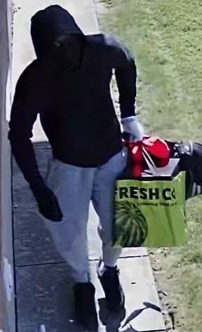 Two suspects and a suspect vehicle are sought after a bulldog puppy and jewelry were stolen during a break-and-enter in Rexdale on Thursday, Aug. 31, 2023.