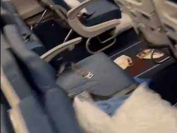 New footage emerges after poop emergency on flight to Barcelona