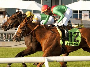 Touch 'n Ride wins Breeders' Stakes