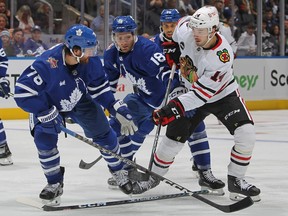 Boris Katchouk of the Chicago Blackhawks battles for the puck against T. J. Brodie #78 and Noah Gregor #18 of the Toronto Maple Leafs.