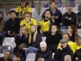 Sweden supporters sit in the stands during the Euro 2024 group F qualifying soccer match between Belgium and Sweden.
