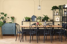Dulux Paints Colour of the Year 2024