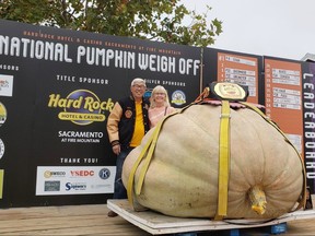 Seventy-eight-old British Columbian Dave Chan his wife Janet Love, shown in this handout image, took his 2,212-pound “mama” pumpkin for a road trip to Wheatland in California and now he has won $28,000 for the National Pumpkin weigh-off competition.