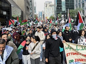 People take part in a pro-Palestine rally in Montreal.
