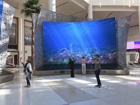 Gigantic LED screens depicting underwater springs and skylight views of blue skies are seen in the new terminal at Orlando International Airport. (Mike Schneider/AP)