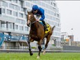 Jockey William Buick guides Nations Pride to victory.