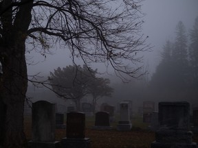 Foggy night in cemetery.