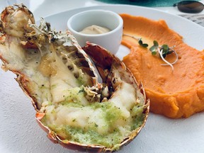 Pyratz Gourmet sailing is an excellent way to enjoy the Caribbean Sea and indulge in exceptional cuisine including grilled spiny lobster tail with sweet potato mash and chipotle aioli. Kevin Hann/Toronto Sun
