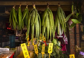 Aloe plants on display at Herbal Lane (aka Herb Lane) in Taipei City, Taiwan on Tuesday, May 30, 2023.