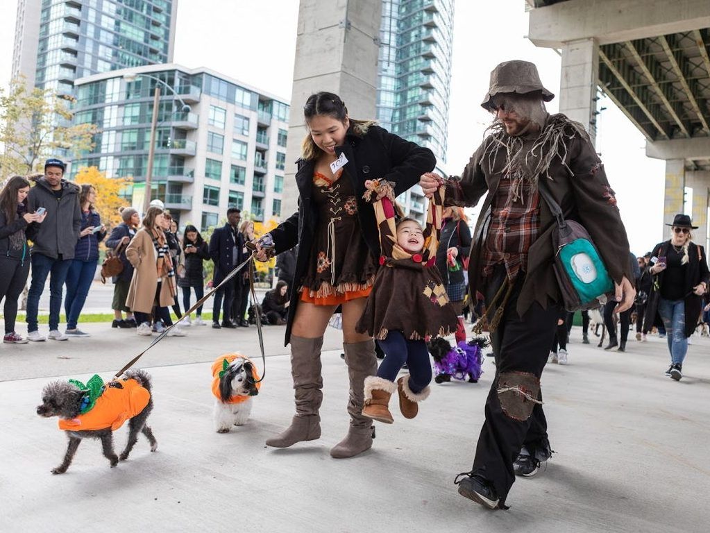 Top things to do in Toronto this Halloween season Fort Mcmurray Today