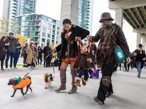 Father, mother, child and two dogs in Halloween costumes