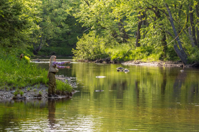 In Maine’s 100-Mile Wilderness, anglers can fish for eastern brook trout and landlocked salmon. (Jerry Monkman)