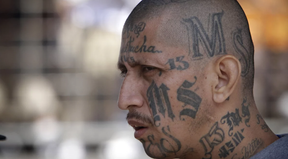 An MS-13 member in El Salvador. Note the tattoos. ASSOCIATED PRESS