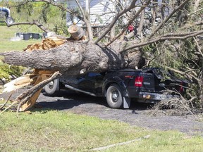 A crushed vehicle from a fallen tree from the aftermath of a possible tornado is shown in Tweed, Ont., on Monday, July 25, 2022.