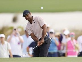 Tiger Woods of the United States plays a shot.